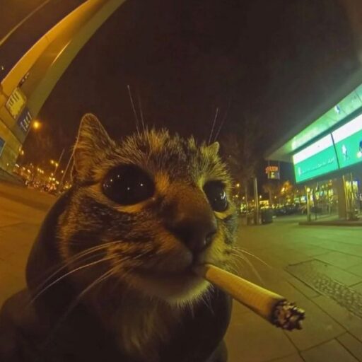 Curci Stefano Sabino